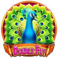 Double Fly